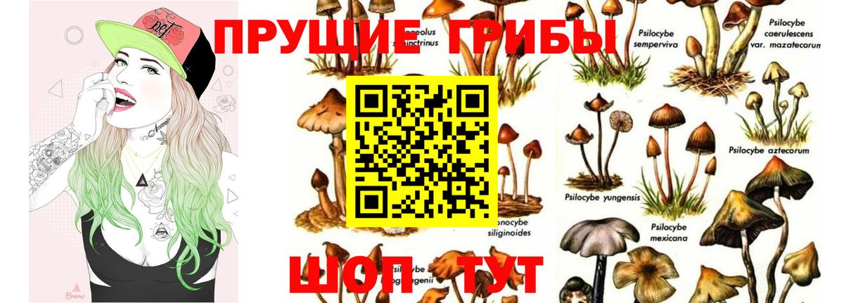 Галлюциногенные грибы MAGIC MUSHROOMS Знаменск